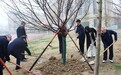 安师大附属肥东实验学校：红梅党建引领高质量发展 年度考核开启强校新篇