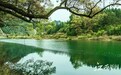 今年国家对江西造林绿化投资超22亿元 推动国土绿化提质增效