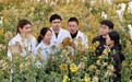 又新选育出5种花色，江西农大彩色油菜花色增至75种