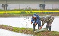 特色种养（图）