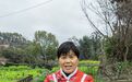 长沙首例“蔬菜采摘权”挂牌交易，探索城乡融合新路径