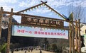 然健·康家树屋乐园开园 聚焦儿童成长 助力乡村旅游