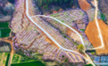 河南确山：桃花盛开迎客来