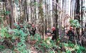 南昌严格落实“五个禁止”规定 做好“清明”“五一”期间森林防灭火工作