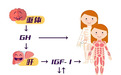 西安市第一医院科普：生长激素检查三项结果的意义