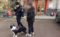 一边帮找狗，一边教养狗！南岗警方全力倡导“文明养犬”