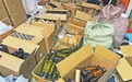 新余警方侦破一起制售假冒羽毛球注册商标的商品案 涉案金额800余万元