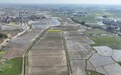 端牢“中国饭碗” 抚州已建成高标准农田371.2万亩