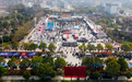 万亩桃林绘就乡村振兴新图景 三湖第五届桃花游园季精彩纷呈
