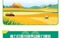 2025年山东省委一号文件发布！
