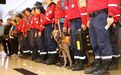 72小时争分夺秒搜救！深圳搜救犬“多吉”在震区嗅探生机