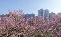 奉化这里新增一座公园！今年5月将全面开放！