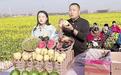邯郸馆陶：县乡村联动直播 土特产“云端”热销