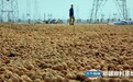 品质创新重塑产业格局，六个核桃铸就健康中国新引擎