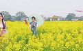 吉安渼陂古村引客来（图）