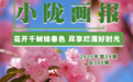 陇南宕昌：花开千树绘春色　尽享烂漫好时光