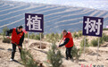 绿满陇原　“植”得奔赴