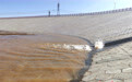黄河水流进八步沙　解渴三万亩林地