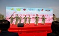【组图】河北沧州：万亩桃林扮靓运河畔