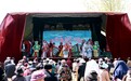 安徽省界首市举办第二十五届梨花诗会