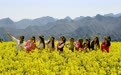 徽县油菜花海绘就乡村振兴新画卷