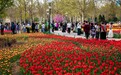 【组图】河北沧州：游人踏青共赏“花花世界”