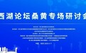 下一个比灵芝更火的是桑黄吗？|西湖论坛桑黄专场研讨会在杭召开