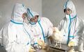 辽源打造“省科学家工作室”，铺就产业升级“高速路”