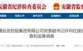 安徽两市纪委监委通报，许向红、蔡霞被查！