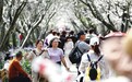 南昌乡村旅游从“打卡观光”向“深度体验”升级 旅游人数、收入创新高