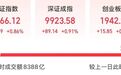 爆发！A股龙头股飙涨