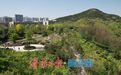 济南茂岭山山体公园绿意盎然，市民乐享绿色生态空间