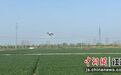 江苏睢宁：“天空农场”上线 无人机全场景赋能