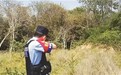 成年公牛发狂失控 南昌县民警一枪击毙！牛主人：真准