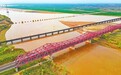 听，麦田生长的声音——中原厚土上的文明交响