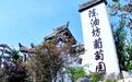 沛县陈油坊：葡萄为媒，农旅教融合土地生 “金”