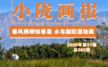 春风拂柳绘春意　水鸟翩跹湿地美