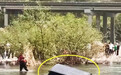 警方通报车辆涉水游玩被困：司机脱险 两名女子经抢救无效死亡