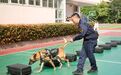 国家安全无小事，宁波各地各校这样学！