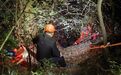 “野游”进山被困，游客李某某获救后被黄山警方处罚！