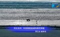 河北沧州：科技赋能盐碱地棉花种植