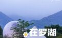 来这里，接住整个春天