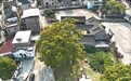 宁波成功运用3D高斯泼溅技术 古树古建有了专属三维画像