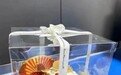 谎称订蛋糕实则洗钱！蚌埠已收到多条举报