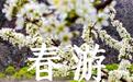 甘肃这些宝藏小城，春游可太值得去了