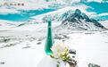 影像为媒·品鉴为桥——天山雪莲"双线布局"背后的中医药振兴范式
