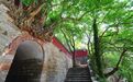 智维法师齐鲁行脚手记：从烈士碑到杏坛，一袭袈裟拂过千年文脉