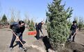 许勤：增绿护林厚植生态优势 久久为功建设绿色龙江