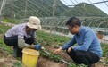 从“空心村”到“网红村”：一封感谢信背后的振兴之路——浙江万里学院“智”绘善见村共富新图景