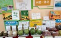 奏响特色农业品牌最强音　金塔这样干